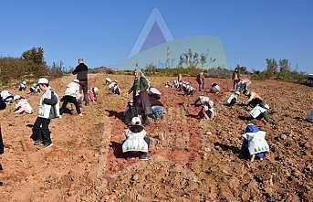 Hendek’ten Türkiye Yüzyılına Nefes