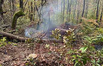 Traktör Kazası Can Aldı 1 Ölü