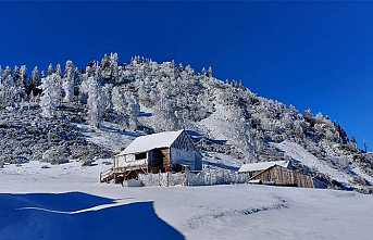 Dikmen Yaylasında Kartposalık Fotoğraflar