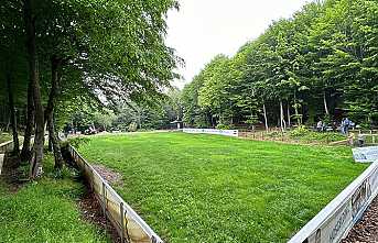 Selman Dede Hazırlıkları Devam Ediyor