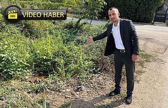 Akbulut Sorunları Dile Getirdi