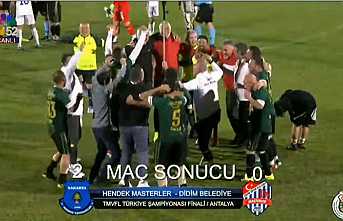 Hendek Veteranlar Türkiye Şampiyonu