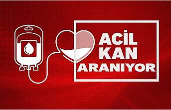 Defne Bebek İçin Acil Kan Aranıyor!