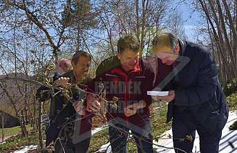 Hendek’te Hasar %90