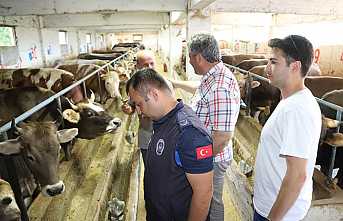 Hendek’te Kurban Kesim Yerleri Denetimden Geçti