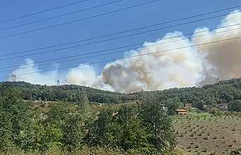 Hendek Hacimbey'de yangın!