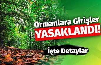 Ormana Girişler Yasaklandı