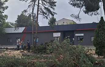 Bayraktar’dan Kesilen Ağaçlara Tepki