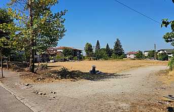 Hendek Belediyesinden Fındık Harmanı Uyarısı