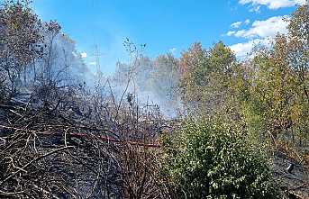Orman Yangını Büyümeden Söndürüldü