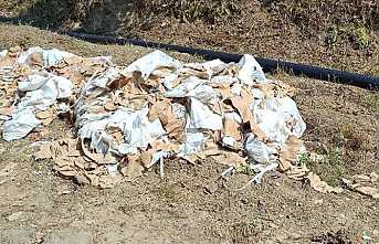 Pardon! Çöpünüzü Unuttunuz