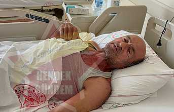 Hendek’te Ayı Saldırısı 1 Yaralı