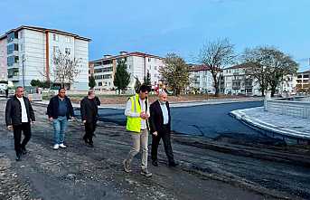 Hendek’e Değer Katan Çalışmalar Sürüyor