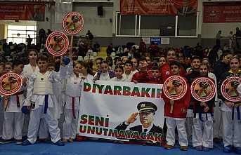 Hendek’te Karate Şöleni