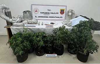 Jandarmadan Uyuşturucu Operasyonu