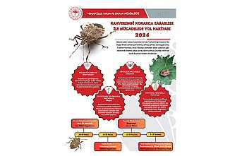 Hendek İlçe Tarım Müdürlüğünden Kahverengi Kokarca Uyarısı