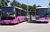 Hendek-Adapazarı Otobüsleri Yan Yolu Kullanabilecek