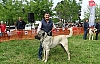 DOG SHOW’DAN DİKMEN’E ÖDÜL