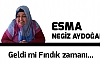 Geldimi Fındık Zamanı...