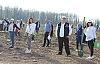 Hendek’te 12 bin 700 Fidan Toprakla Buluştu