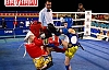 MUAY THAİ MİNİK – YILDIZLAR BAY VE BAYANLAR MÜSABAKALARI