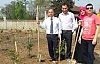 MURAT NİŞANCI ORTAOKULU AĞAÇLANDIRILIYOR