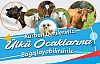 Ülkü Ocakları Kurban Derisi Bağışlarınızı Bekliyor