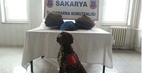 TIR'DA 13.5 KİLO ESRAR ÇIKTI