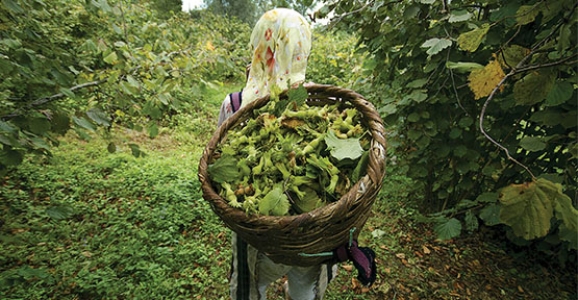 Ulusal Fındık Çalıştay’ına Sakarya Desteği