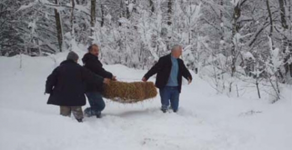 YABAN HAYVANLARI UNUTULMADI  