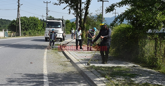 Yabani Otlar Temizleniyor