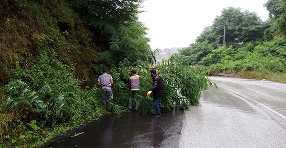 Belediye'den Anında Müdahale 