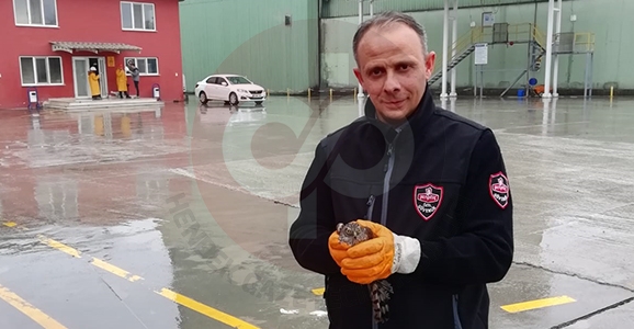 Yaralanan Atmacaya Şevkat Eli