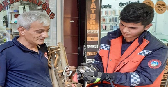 Yavru Kedi İçin Seferber Oldular