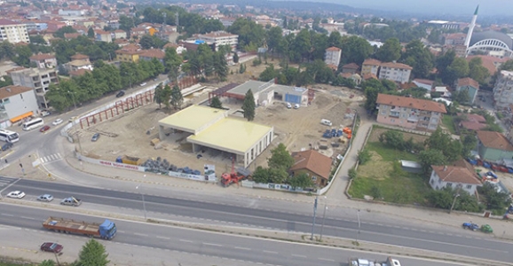 YENİ YAŞAM ALANI HENDEK’E CANLILIK KATACAK