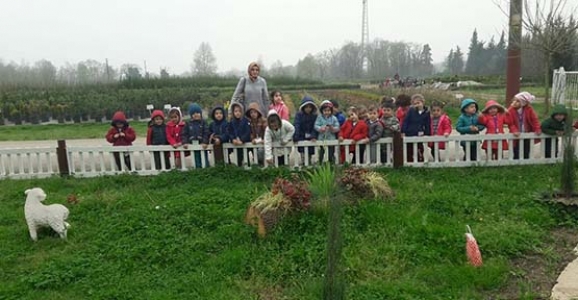 YENİMAHALLE ANAOKULU ÖĞRENCİLERİ FİDANLIK’I GEZDİ