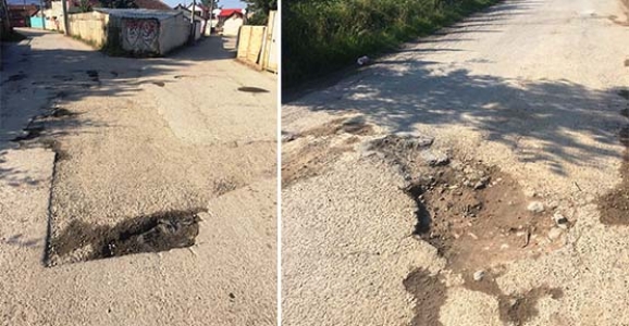 YOLLARIMIZ MAYIN TARLASI GİBİ