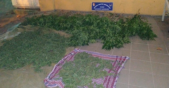 Zehir Tacirleri Hendek Polisinden Kaçamadı