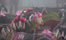 Hendek’te 118 Yıllık Yayla Göçü