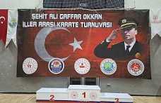 Hendek karate şöleni yaşanacak