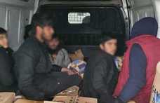 Hendek’te 6 Göçmen Yakalanarak Deport Edildi