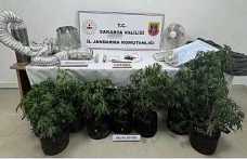 Jandarmadan Uyuşturucu Operasyonu