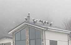 Göç Yolculuğuna Hendek’te Mola