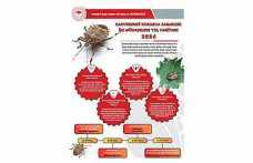 Hendek İlçe Tarım Müdürlüğünden Kahverengi Kokarca Uyarısı