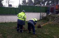 Hendek’te Yeşil Alanlarda Temizlik Ve Ağaçlandırma Seferberliği