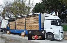 Hendek’te 8 Milyon Adet makaron Ele Geçirildi