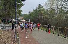 Sakarya 1. Bahar Kosusunda Hendek Damgası