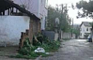 1124 NOLU SOKAK SAKİNLERİ BELEDİYEDEN ÇÖZÜM...