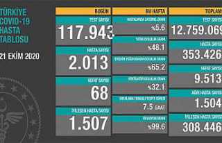 Can Kaybı 9513, Hasta Sayısı 353 Bin 426