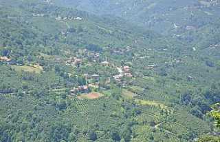 Başkan Erdem, muhtarların sesi oldu